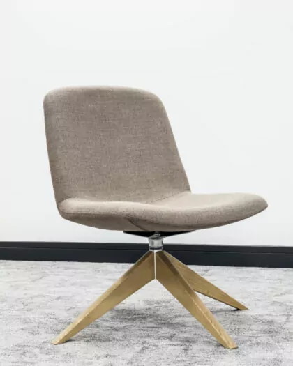 Upholstered Living Room Chair