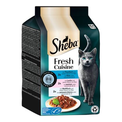 Sheba Fresh Cuisine — Taste of Tokyo